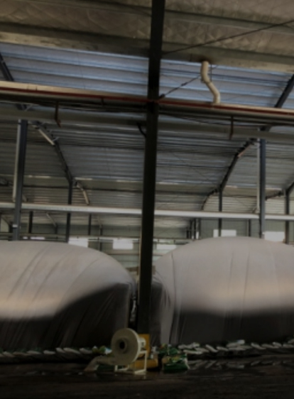 AG������ʱ����(�й���)�������ǲ�!